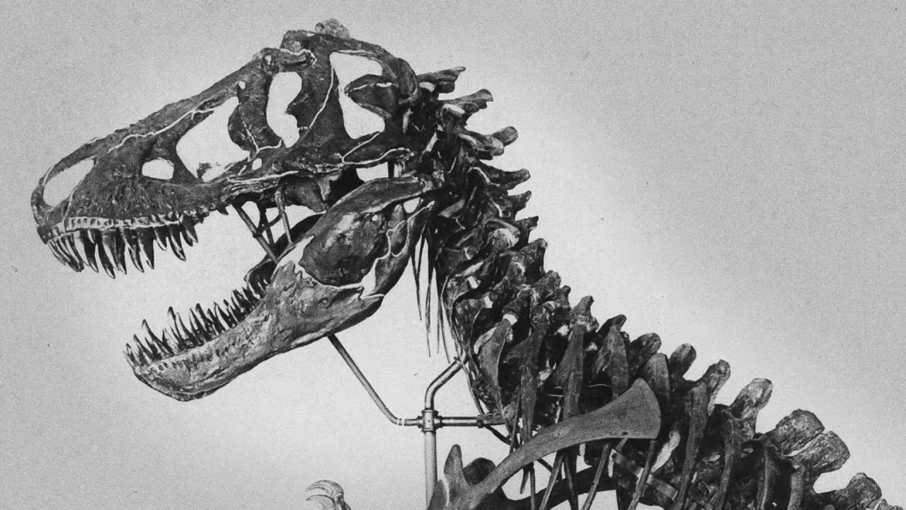공룡 전시관 (Dinosaur Halls)